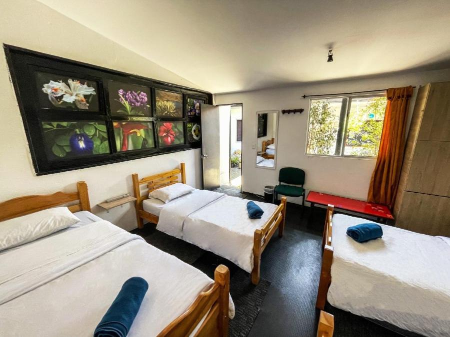 El Yarumo Hostel Bogotá Eksteriør billede