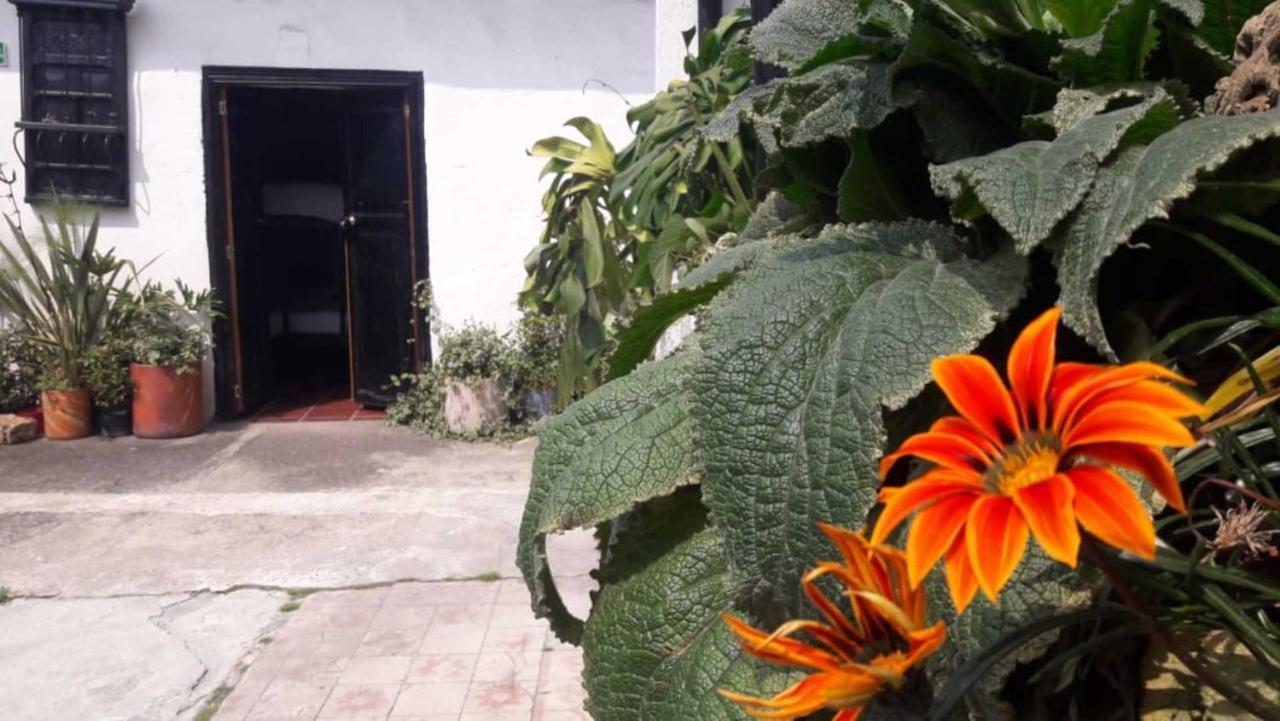El Yarumo Hostel Bogotá Eksteriør billede